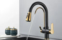 Filtered Water Kitchen Faucet For Homes