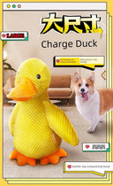 Durable Dog Chew Toy for Large Dogs