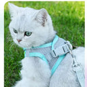 Escape-Proof Pet Harness for Safe Walks