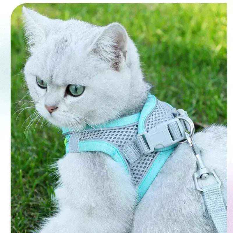 Escape Proof Cat And Dog Harness Set With Leash For Pets
