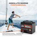 12V LifePo4 Battery 100Ah Solar