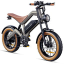 Dyu M20 Electric Fat Tire Bike
