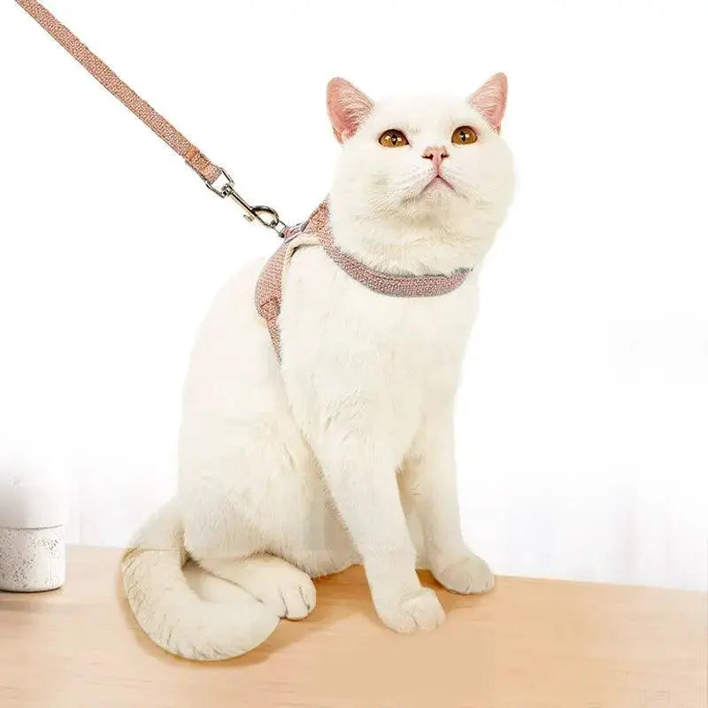 Cute Breathable Mesh Small Pet Harness And Leash Set