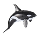 Shark Transformer Toy For Kids Learning
