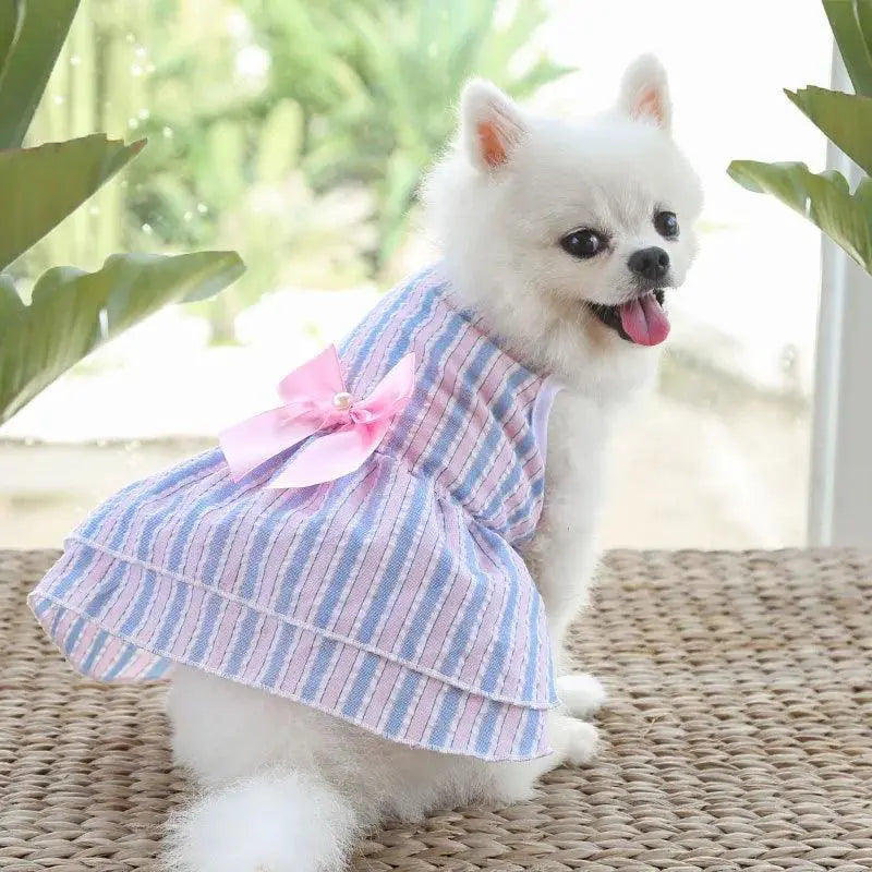 Puppy Butterfly Striped Pet Skirt Summer Princess Dog Dress