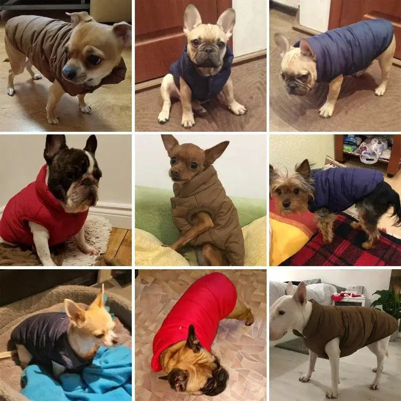 Warm Fleece Dog Coat For All Breeds Stylish Winter Vest