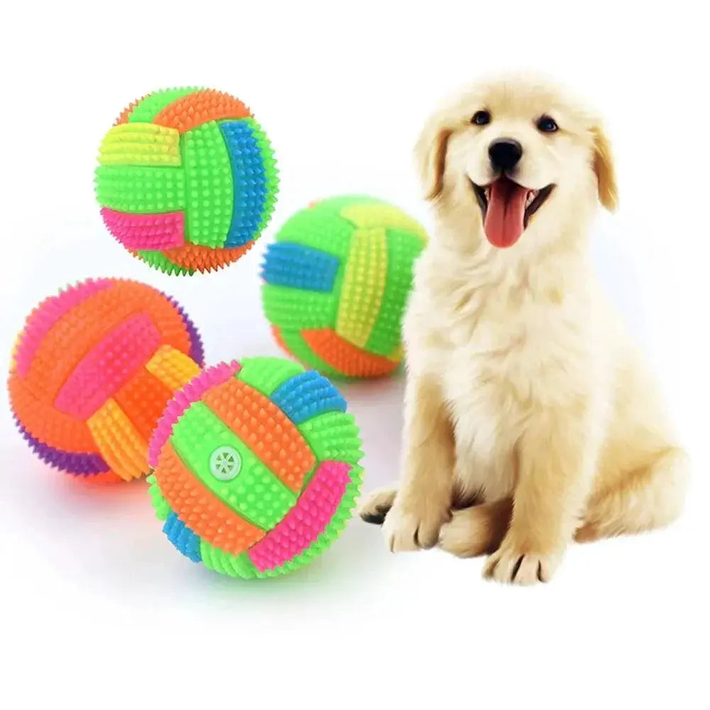 Light Up Dog Ball Glow in the Dark Squeaky Toy for Pets