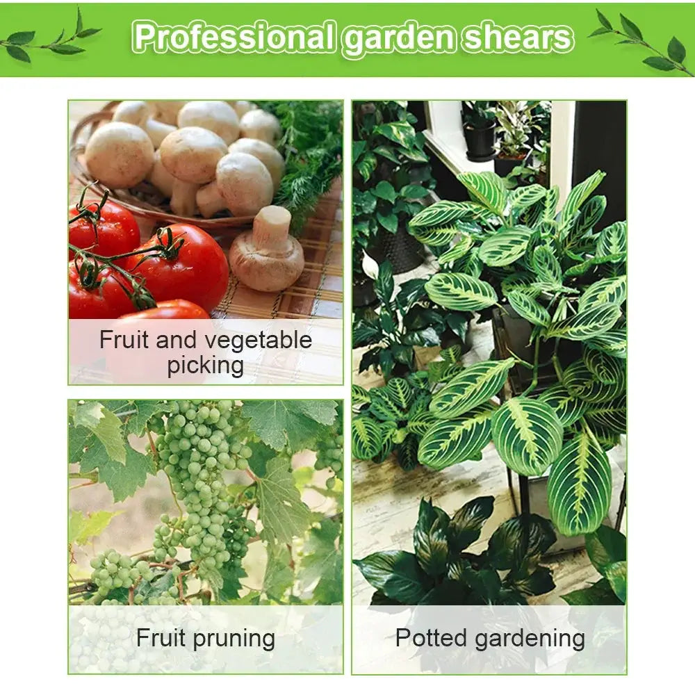 Gardening Pruning Shears Garden Tools Scissors Potted Plants