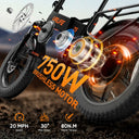 URLIFE T5 Foldable Fat Tire E Bike