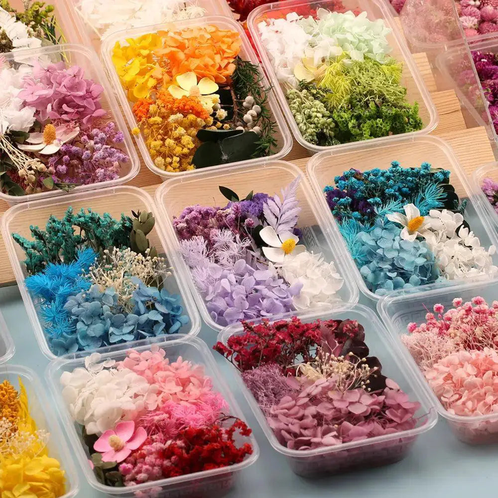 Artificial Plants And Real Dried Flowers For Home Decor