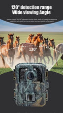 Night Vision Trail Camera for Hunters