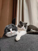 JIAERDI Lolita Plush Cute Cat Bag Women Harajuku Fur Bag