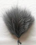 Effortless Pampas Grass Decor for Home