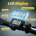 Long Range Foldable Electric Bike
