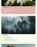 Aroma Diffuser Automatic Fragrance For Home Indoor Use