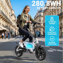 Dyu Folding Electric Bike Urban