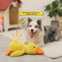 1pc Large Duck Design Pet Grinding Teeth Squeaky Plush Toy