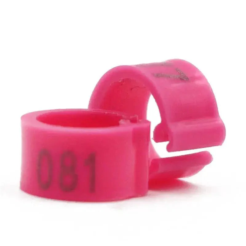 Colorful Bird Training Rings For Parrot Training Tools