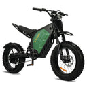 Xtion Adult Electric Mountain Bike