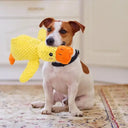 Calming Duck Dog Toy for Stress Relief