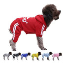 Adidog Sweater Keeps Small Dogs Warm