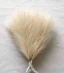 Effortless Pampas Grass Decor for Home