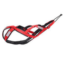 Secure Dog Harness for Husky Outdoor