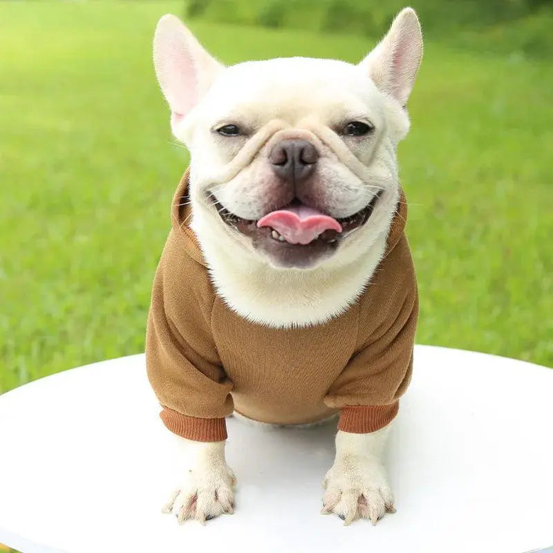 Winter Dog Hoodie For Small And Medium Dogs Cozy Clothing