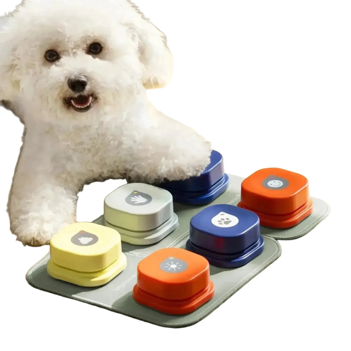 Dog Training Toy for Better Bonding — product view 1
