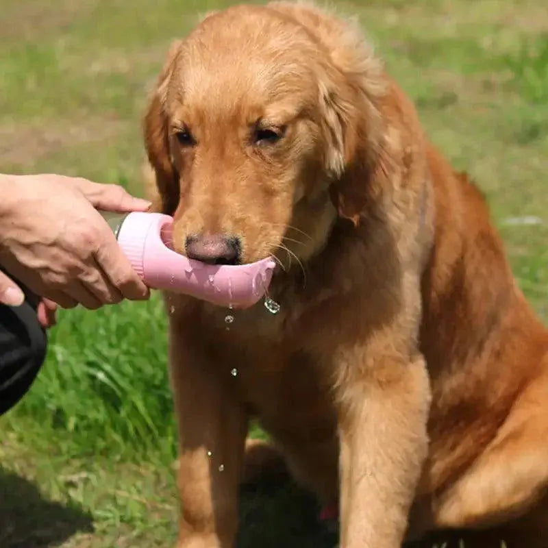 Portable Pet Water Bottle With Feeder For Outdoor Adventures