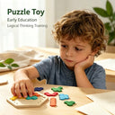 Wooden Hexagon Puzzle Toy Early