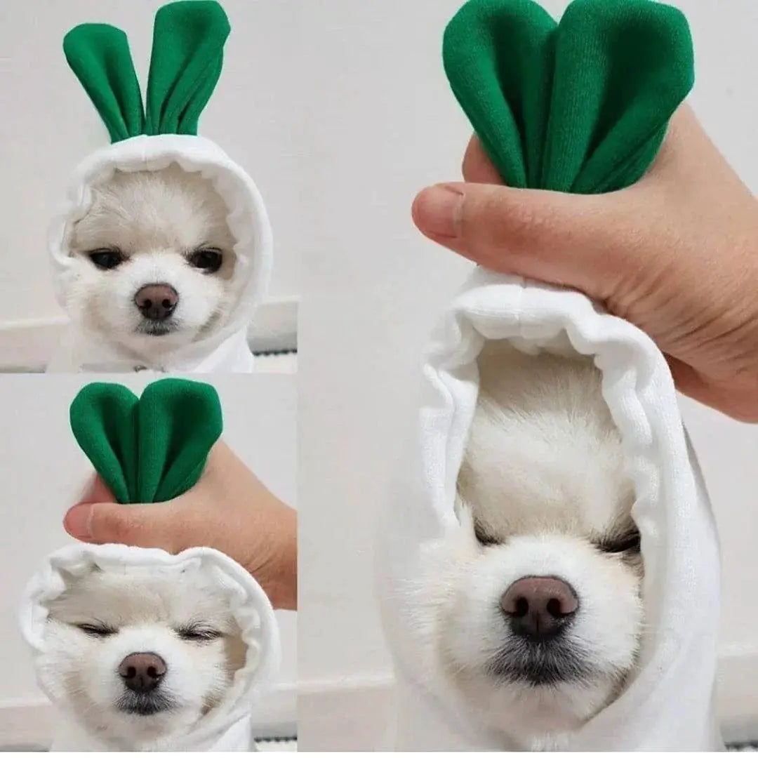 Cute Fruit Dog Clothes For Small Dogs Warm Fleece Hoodie