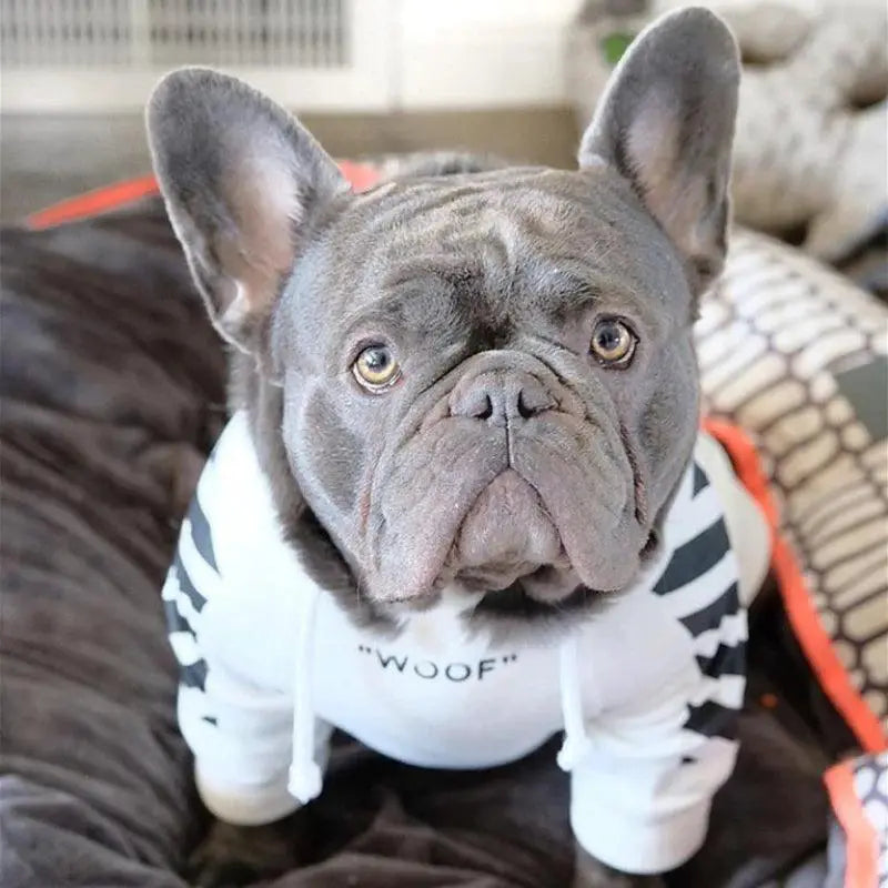 Adidog Stripe Hoodie For French Bulldog Pet Clothes