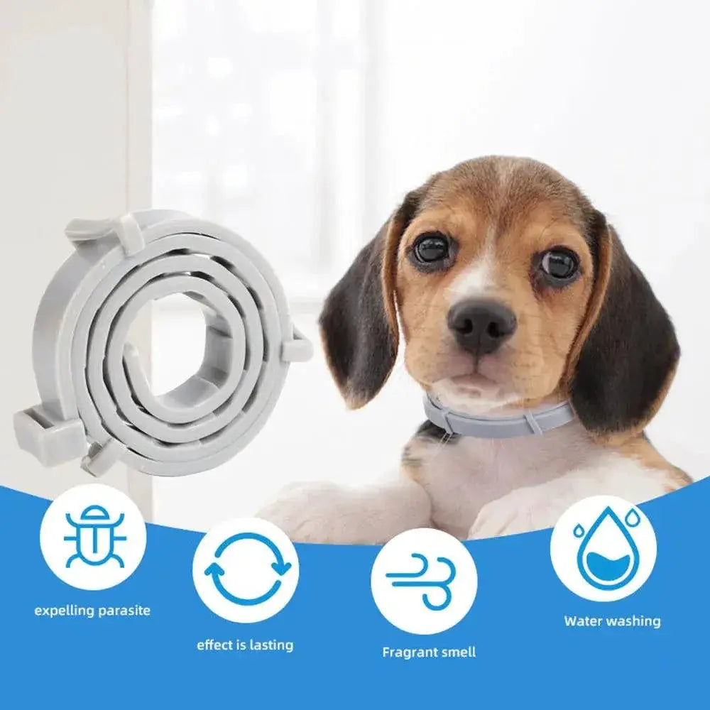 Adjustable Vet Anti Flea Tick Collar For Cats And Dogs