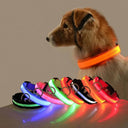 LED Night Safety Dog Leash & Collar Set for Enhanced Visibility