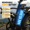 Qlife Fat Tire Foldable Ebike