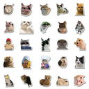 Cat MEME Funny Animals Stickers Vintage Decals for Kids