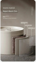 Ceramic Cat Water Fountain for Hydration