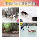Secure Dog Harness for Husky Outdoor