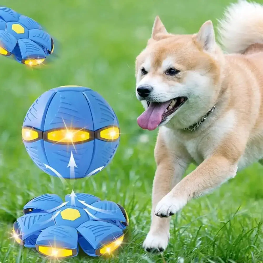 Dog UFO Ball For All Sizes Enhances Interaction And Exercise