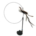Interactive Cat Stick Toy Premium Quality Feather Bird Bell