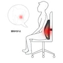 Back Support Car Cushion for Drivers