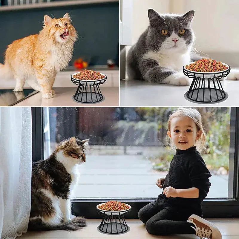 Elevated Ceramic Pet Feeder With Metal Stand For Meals