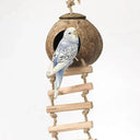 Mold-Resistant Bird Nest Outdoors