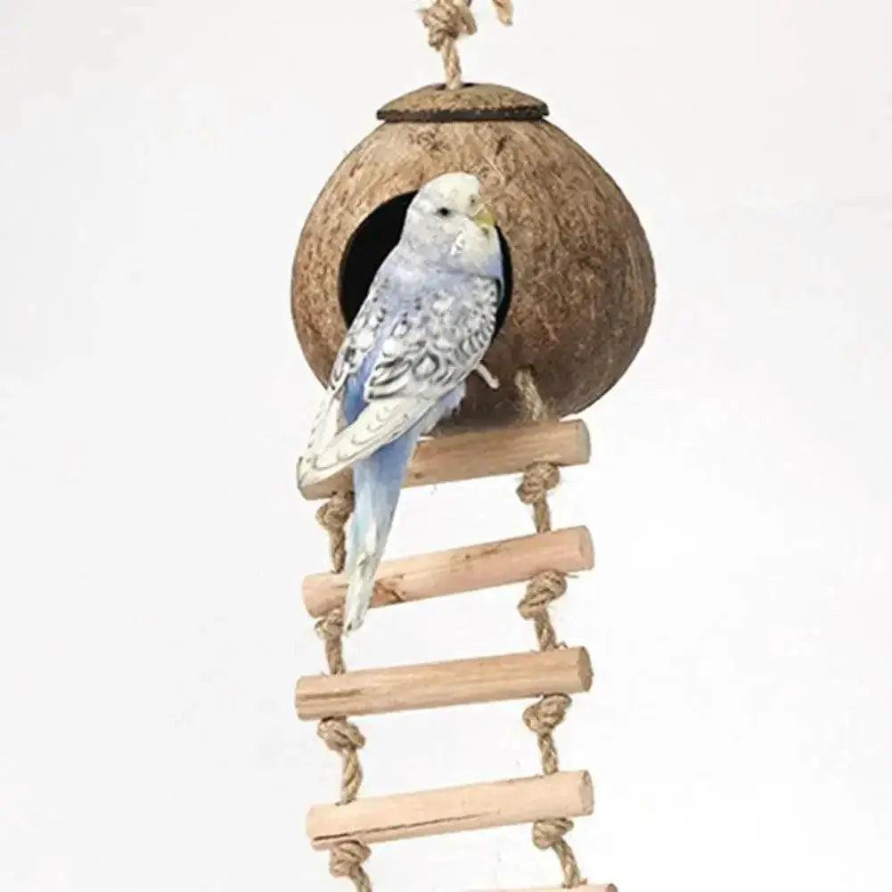 Coconut Shell Bird Nest Hideout Eco Friendly Habitat Home