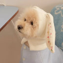 Cozy Warmth Pet Hat for Winter Dogs