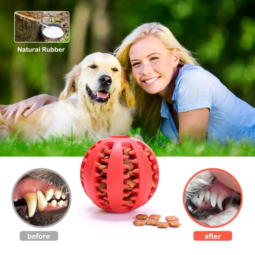 Interactive Rubber Dog Toy For Dental Health And IQ Training
