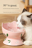 Pet Heating Winter Dog Automatic Warm Water Cat Device