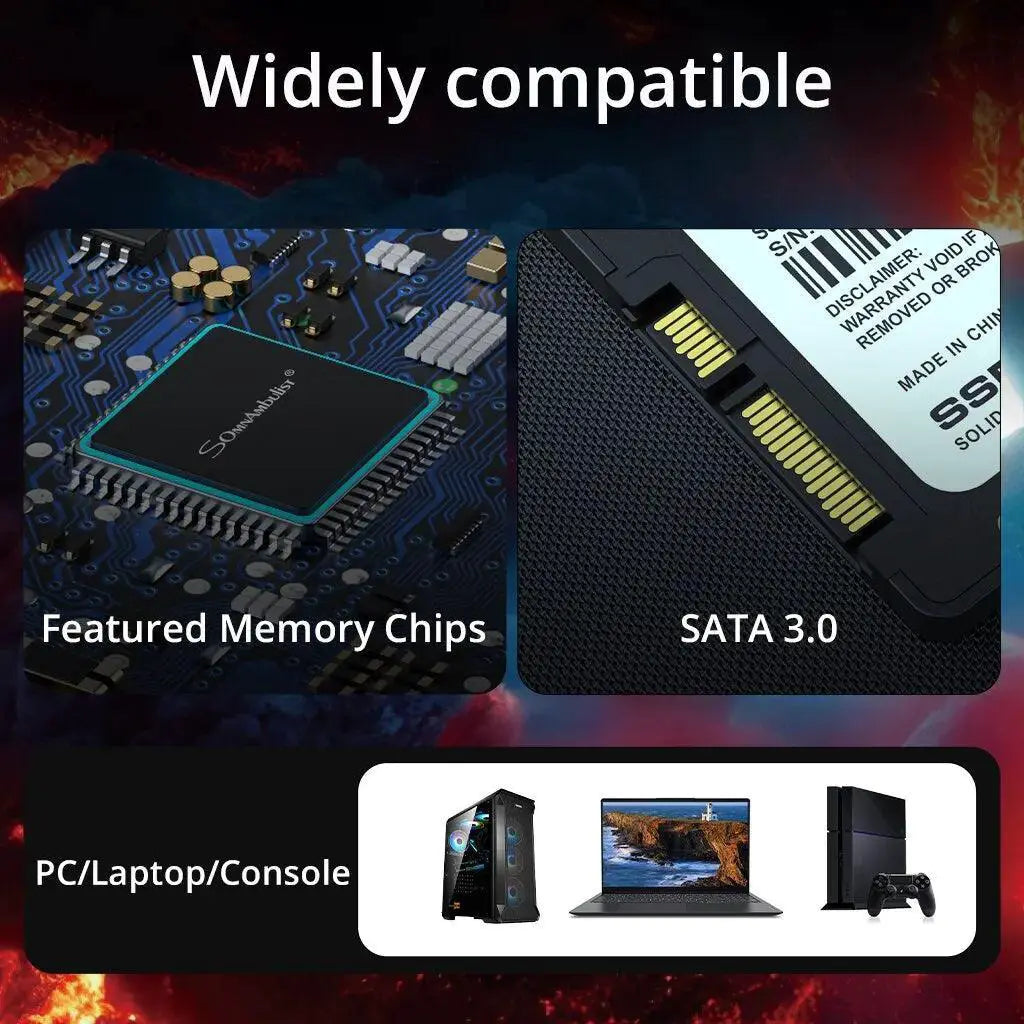 SomnAmbulist High Speed RGB SSD for PC Laptop Internal Drive