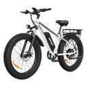 Premium 1500W 48V Fat Tire E Bike